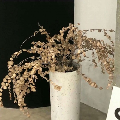 兽设毛发刻画细节Furry群